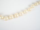 a close up of a white pearl necklace on a white surface