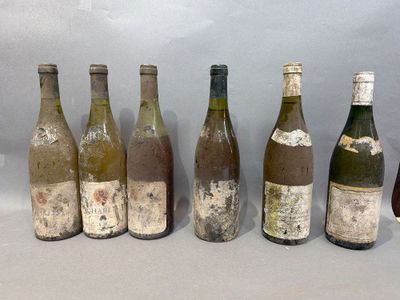 plusieurs bouteilles de vin sont alignées dans une rangée