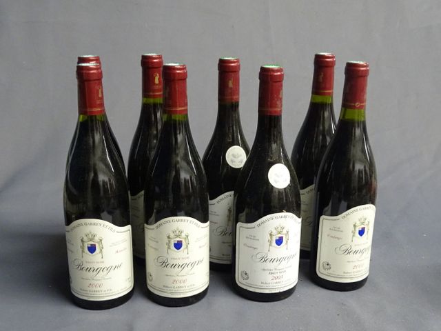 BOURGOGNE, Pinot noir, Hubert GAREY Père et Fils, 6 bouteilles de...