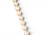 a close up of a pearl necklace on a white background