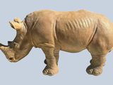 a rhino that is standing in the air with its head down