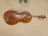 a violin and a pair of shoes on the floor