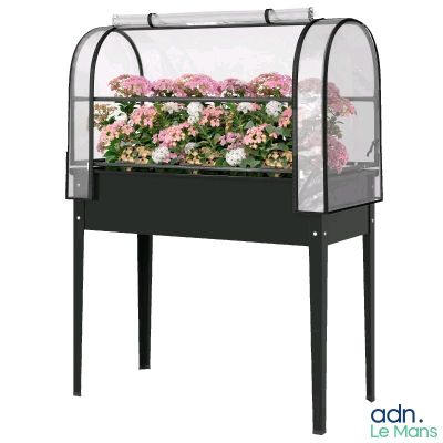 une photo d'une jardinière remplie de fleurs posée sur une table