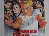 Affiche du film « L'histoire de James Dean »