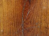 a close up of a piece of wood with a crack in it
