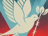 an image of a white dove with a twig in it ' s beak