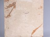marble tile with a bird on it on a gray surface
