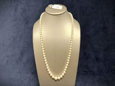 a close up of a necklace on a mannequin on a mannequin