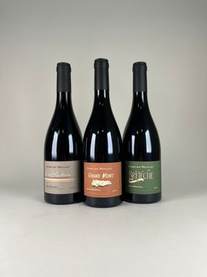 trois bouteilles de vin sont alignées sur une table
