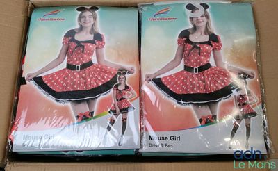 une paire de déguisements de Minnie Mouse pour filles dans une boîte en carton