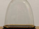 a glass dome with a wooden base on a table