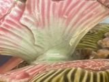 a close up of a pink and green vase on a table