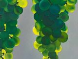 Photo 1/2 du lot