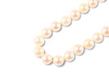 an image of a pearl necklace on a white background