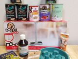 une gamelle pour chien et un bol de croquettes posés sur une table