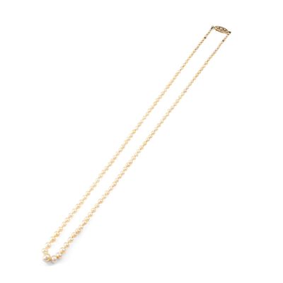 a gold necklace with a white pearl and a gold chain