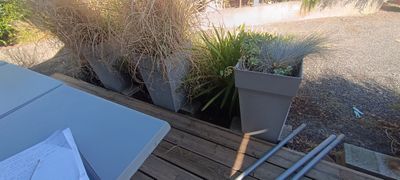 une table sur laquelle sont disposées plusieurs plantes