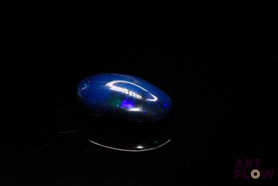 l'image d'un oplite bleu dans l'obscurité