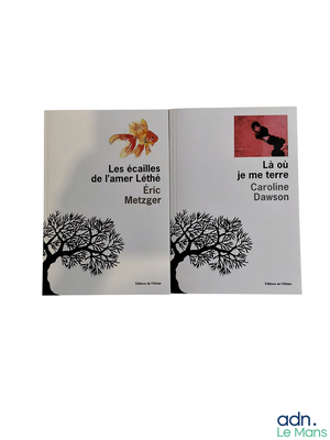 two books that are sitting on a table
