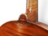 a close up view of a violin neck and back