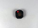 an image of a small black object with a red dot on it