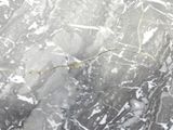 a bird that is sitting on the ice in the water