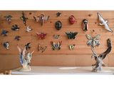 un mur sur lequel sont accrochés de nombreux objets divers