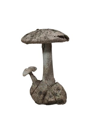 un champignon assis sur un rocher sur lequel se trouve un champignon