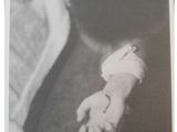 black and white photograph of a person holding a baby ' s hand