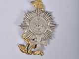 an image of a silver and gold medal on a white surface