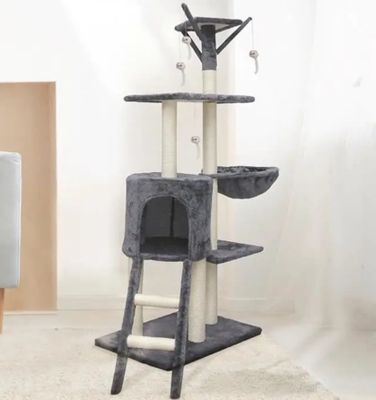 un arbre à chat avec une échelle, dans un coin de la pièce