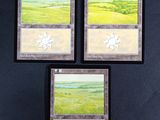 three framed pictures of turtles on a black wall with a green field in the background