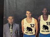 a picture of a group of basketball players posing for a picture