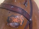 a wooden horse with a leather bridle on it ' s head