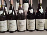 several bottles of wine are lined up on a table