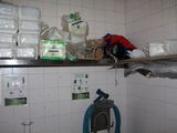 a toilet in a bathroom with a shelf above it