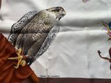a picture of a bird that is sitting on a towel