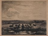 drawing of a herd of sheep standing in a field next to a body of water