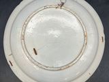 a white plate that has a small bug on it
