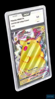 une image d'une carte Pokémon dans un étui en plastique