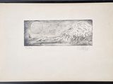 a picture of a drawing of a peacock in a frame