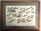 une photo représentant une image de canards, exposée dans un cadre en bois
