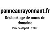 Photo 1/1 du lot