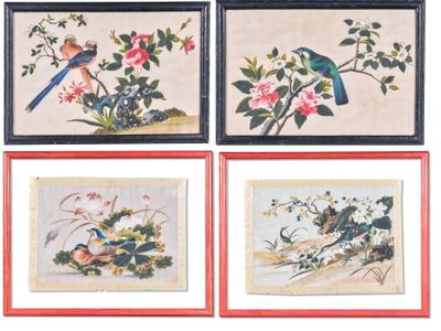 quatre photos encadrées représentant des oiseaux et des fleurs sur fond blanc