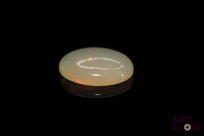 l'image d'un oplite blanc dans l'obscurité