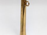 brass plated brass trumpet with a trumpet horn in the middle of it