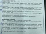 Photo 24/24 du lot