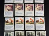 Ce jeu de cartes comporte de nombreuses cartes illustrées.