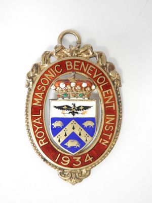 an image of a badge with a plane on it on a white surface
