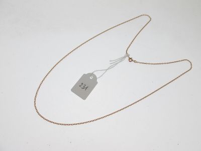 gros plan d'un collier auquel est attachée une étiquette
